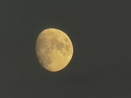 IMG_20201126_161116.jpg