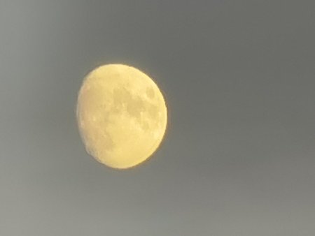 IMG_20201126_161104_1.jpg