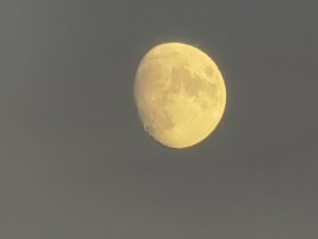 IMG_20201126_161112_1.jpg