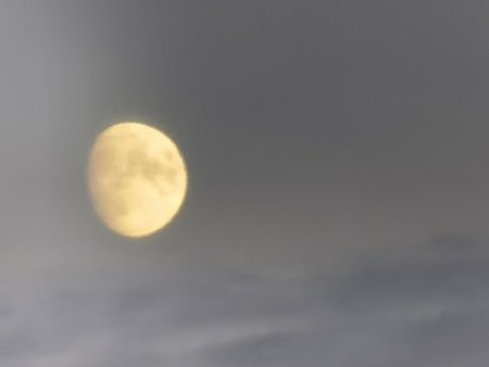 IMG_20201126_160914.jpg