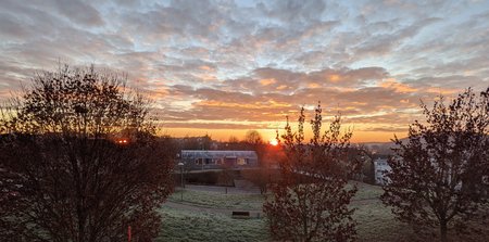 PXL_20201127_065642393~2.jpg