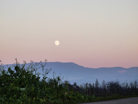 IMG_20201128_163256.jpg