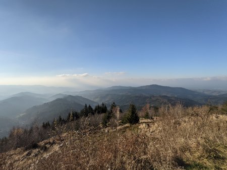 PXL_20201129_133301925.jpg