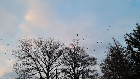 20201129_154654.jpg