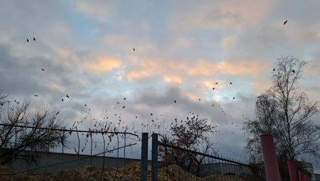 20201129_154453.jpg