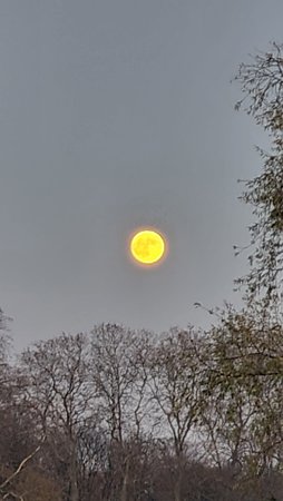 20201129_165339.jpg