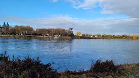 20201119_101203.jpg