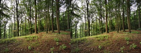 IMG_20190805_100250-3D-VR.JPG