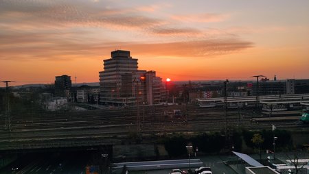 IMG_20201127_082231.jpg