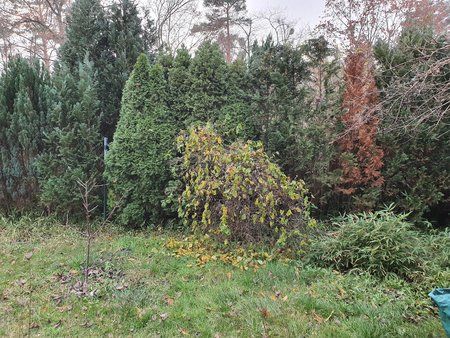 20201201_094112.jpg