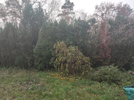 IMG20201201094323.jpg