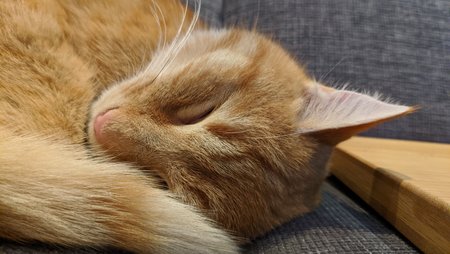 MVIMG_20201201_190646.jpg