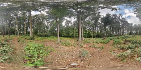 PANO_20190708_092604.jpg