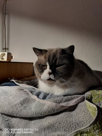 IMG_20201202_174749.jpg