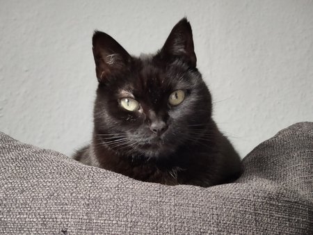 IMG20201103151021.jpg