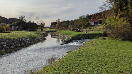 PXL_20201025_085224160.jpg