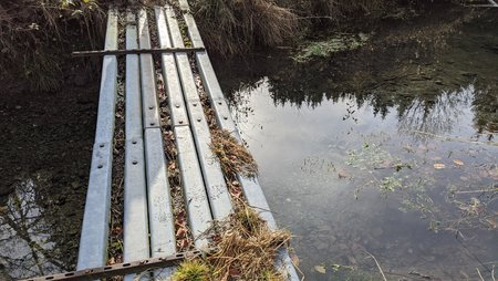 PXL_20201108_112437970.jpg
