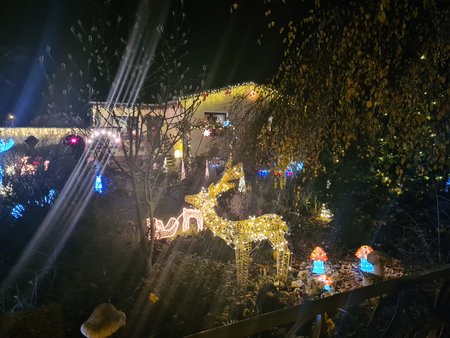 20201205_175532.jpg