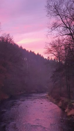 20201206_074234.jpg
