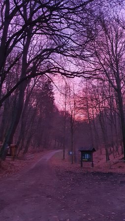 20201206_074343.jpg