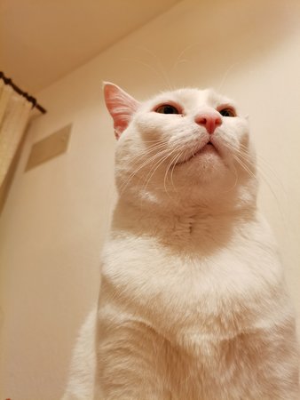 IMG_20201204_170143.jpg