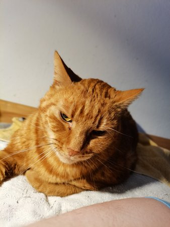 IMG_20201204_201434.jpg