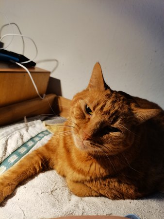 IMG_20201204_201720.jpg