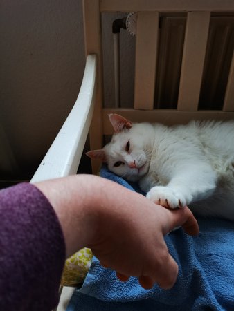 IMG_20201205_153048.jpg