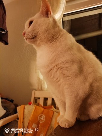 IMG_20201205_181738.jpg