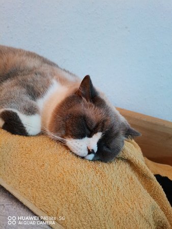 IMG_20201205_225817.jpg