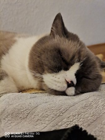 IMG_20201205_230358.jpg