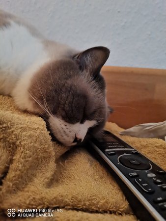 IMG_20201206_004624.jpg