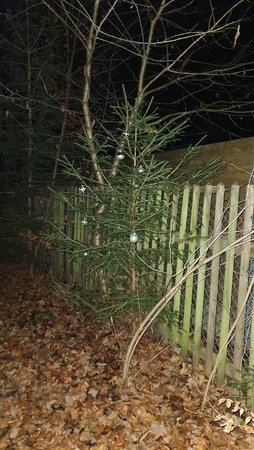 20201207_201606.jpg