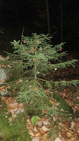 20201207_201238.jpg