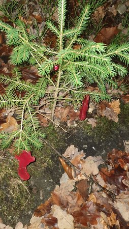 20201207_201051.jpg