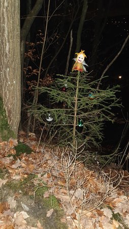 20201207_200826.jpg