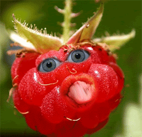 A45C6669-F908-4117-B044-4088EF3AFAE4.gif