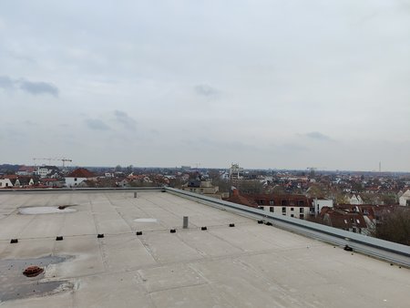 IMG_20201211_113232.jpg