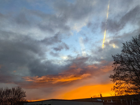 PSX_20201214_083728.jpg