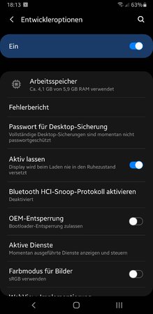 Screenshot_20201214-181313_Settings.jpg