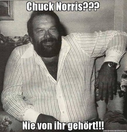 Chuck_Norris.jpg