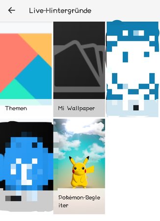 Pokémon-Begleiter.jpg