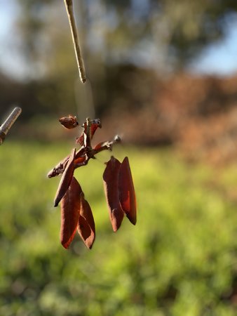 IMG_0271.jpeg