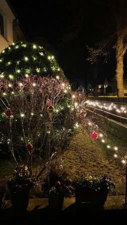 IMG_0055.jpeg