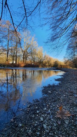 20201218_115228.jpg