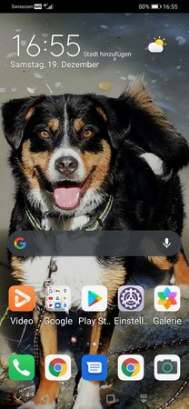 Screenshot_20201219_165514_com.huawei.android.launcher.jpg