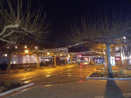 IMG_20201220_175718799.jpg