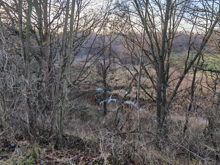 IMG_20201221_134640.jpg