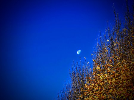 IMG_20201106_100745~2.jpg