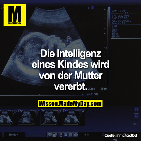 8C39D1B5-3934-4B27-B362-D53AC3F02D79.png